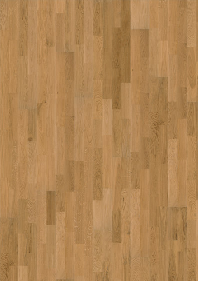 European Naturals | Oak Verona | Wood flooring | Kährs