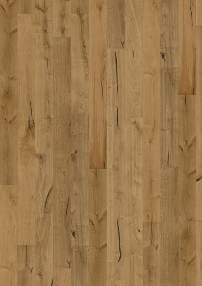 Founders | Oak Johan | Wood flooring | Kährs