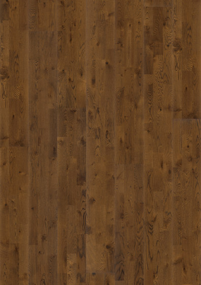 Harmony | Oak Ale | Wood flooring | Kährs