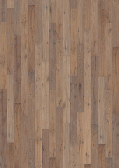 Rugged | Oak Fossil | Wood flooring | Kährs