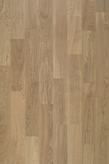 Sand | Oak Portofino | Wood flooring | Kährs