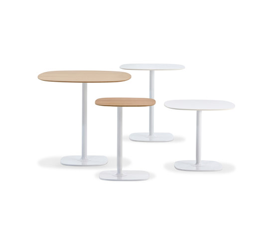 Bloom | Standing tables | Modus