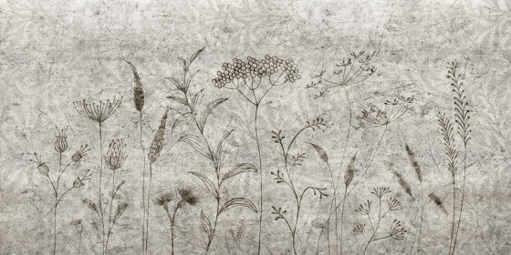 Fields forever | Revestimientos de paredes / papeles pintados | Inkiostro Bianco