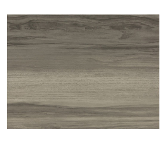 Woodgrains | Silvered Wood | Plaques de métal | Pure + FreeForm