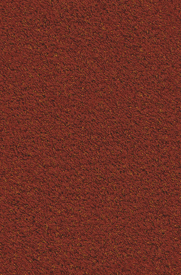 Superior 1041 - 1N25 | Wall-to-wall carpets | Vorwerk