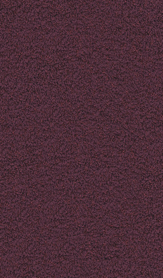 Superior 1041 - 3Q54 | Wall-to-wall carpets | Vorwerk