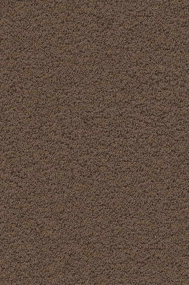 Superior 1041 - 7G70 | Wall-to-wall carpets | Vorwerk