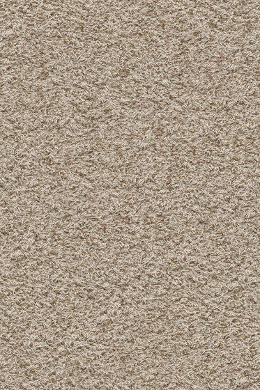 Superior 1041 - 8J88 | Wall-to-wall carpets | Vorwerk