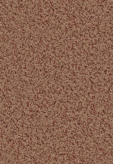 Superior 1041 - 8J95 | Wall-to-wall carpets | Vorwerk