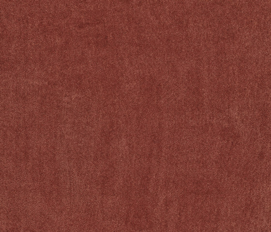 Exclusive 1060 - 1N27 | Wall-to-wall carpets | Vorwerk