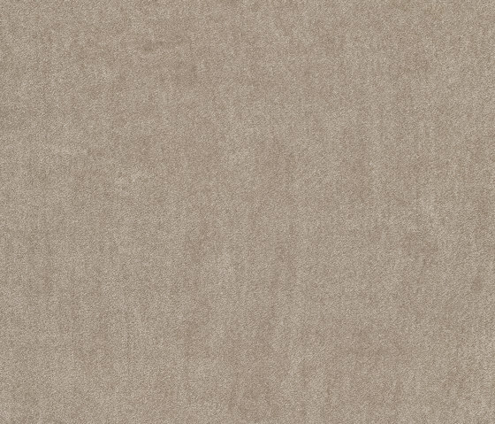 Exclusive 1060 - 8H72 | Wall-to-wall carpets | Vorwerk