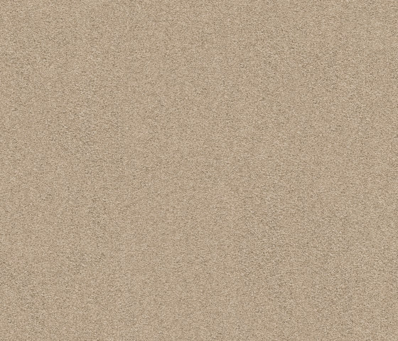 Exclusive 1066 - 6C79 | Wall-to-wall carpets | Vorwerk