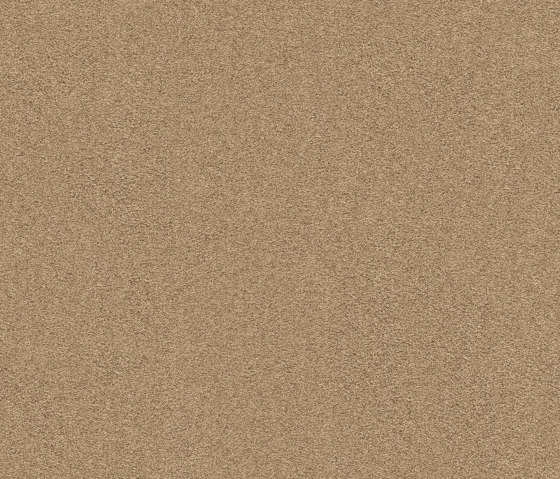 Exclusive 1066 - 8K19 | Wall-to-wall carpets | Vorwerk