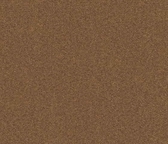 Exclusive 1066 - 8K20 | Wall-to-wall carpets | Vorwerk