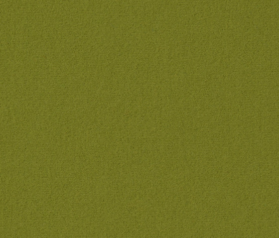Superior 1017 - 4G01 | Wall-to-wall carpets | Vorwerk