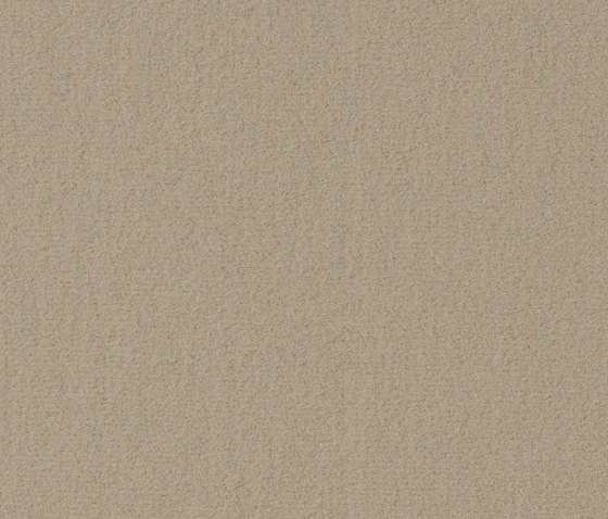 Superior 1017 - 8J26 | Wall-to-wall carpets | Vorwerk