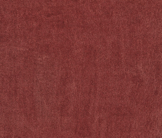 Superior 1064 - 1N38 | Wall-to-wall carpets | Vorwerk