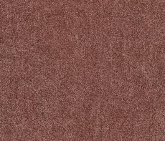 Superior 1064 - 1N39 | Wall-to-wall carpets | Vorwerk
