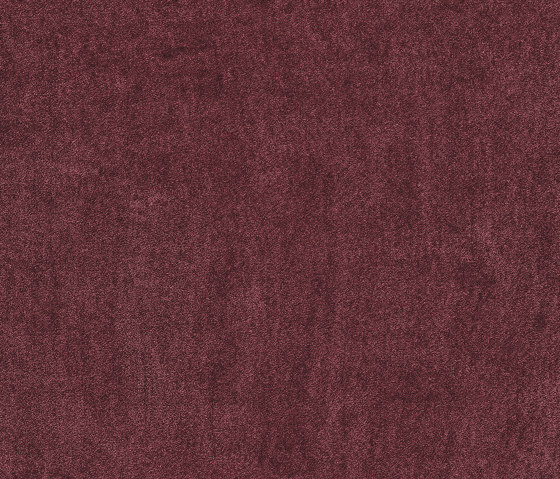 Superior 1064 - 1N41 | Wall-to-wall carpets | Vorwerk