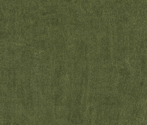 Superior 1064 - 4G76 | Wall-to-wall carpets | Vorwerk