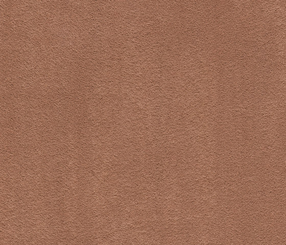 Superior 1067 - 1N53 | Wall-to-wall carpets | Vorwerk