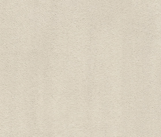 Superior 1067 - 6C73 | Wall-to-wall carpets | Vorwerk