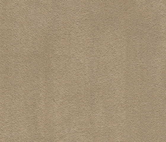 Superior 1067 - 8K07 | Wall-to-wall carpets | Vorwerk