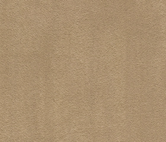 Superior 1067 - 8K09 | Wall-to-wall carpets | Vorwerk