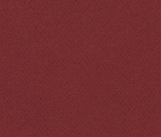 Superior 1071 - 1N81 | Wall-to-wall carpets | Vorwerk
