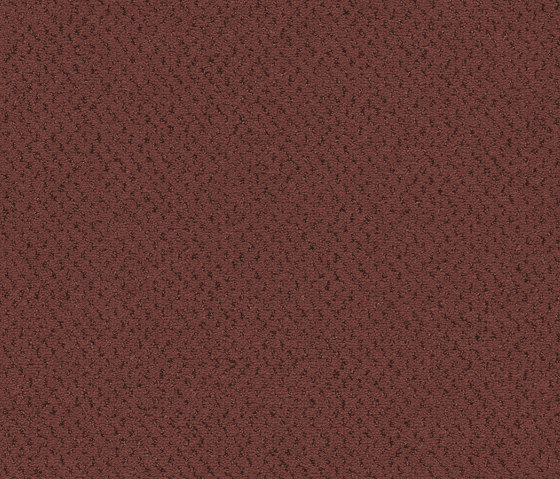 Superior 1071 - 1N82 | Wall-to-wall carpets | Vorwerk