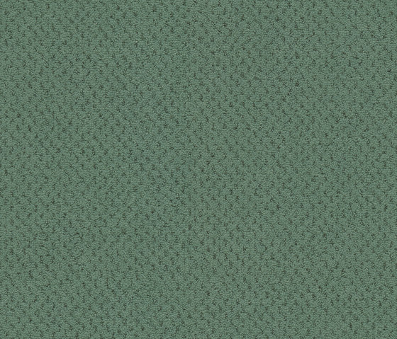 Superior 1071 - 4H01 | Wall-to-wall carpets | Vorwerk