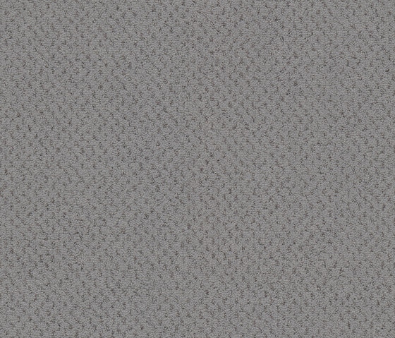 Superior 1071 - 5Y28 | Wall-to-wall carpets | Vorwerk