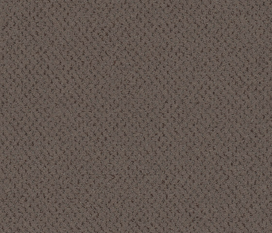 Superior 1071 - 5Y29 | Wall-to-wall carpets | Vorwerk