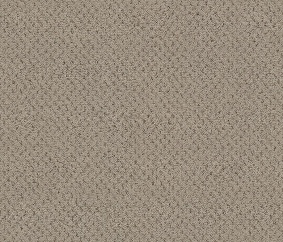 Superior 1071 - 5Y37 | Wall-to-wall carpets | Vorwerk