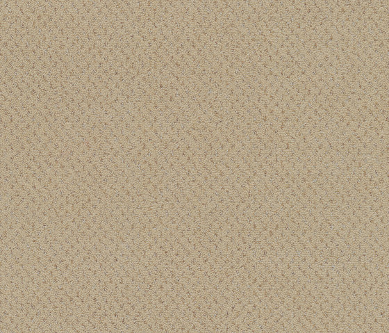 Superior 1071 - 8K32 | Wall-to-wall carpets | Vorwerk