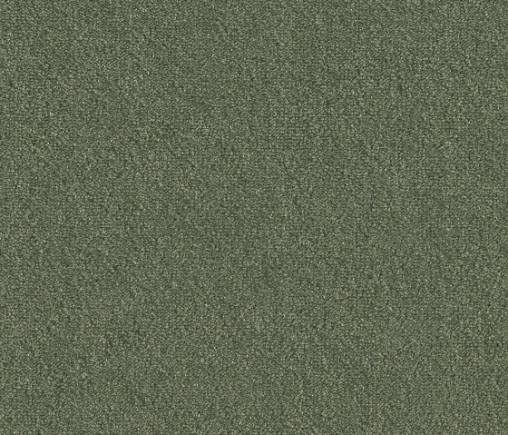 Superior 1073 - 4G80 | Wall-to-wall carpets | Vorwerk
