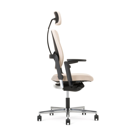 Sitagxilium Swivel chair | Sedie ufficio | Sitag