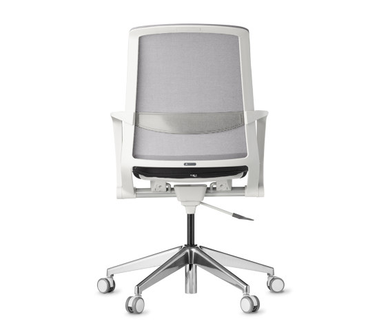 Collaborative | Tizu Work | Office chairs | AMQ Solutions