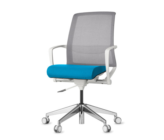 Collaborative | Tizu Work | Office chairs | AMQ Solutions