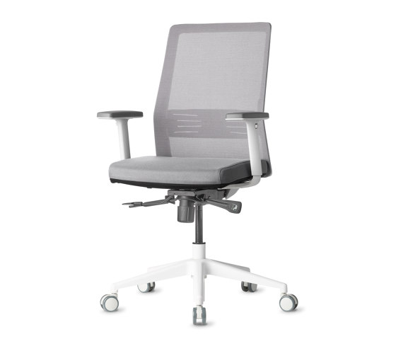 Work | Bodi | Office chairs | AMQ Solutions