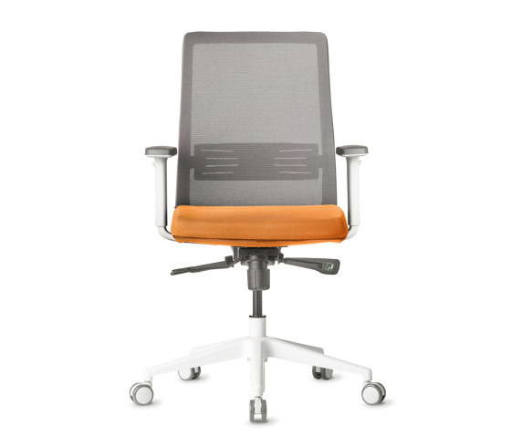 Work | Bodi | Office chairs | AMQ Solutions