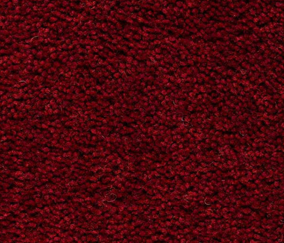 Brunel G70003 | Rugs | Best Wool