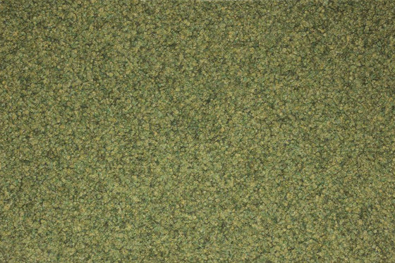 Jamila® | como 562 | Wall-to-wall carpets | Fabromont AG