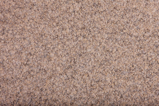 Abraxas & Abraxas COLORpunkt® | düne 796 | Wall-to-wall carpets | Fabromont AG