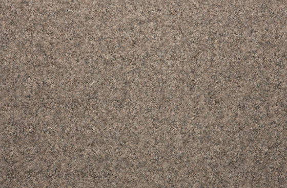 Arena® | sand 908 | Wall-to-wall carpets | Fabromont AG