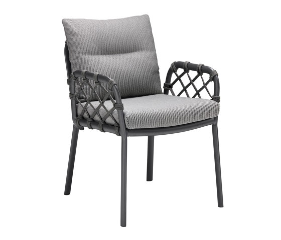Caro Dining Chair | Chairs | solpuri