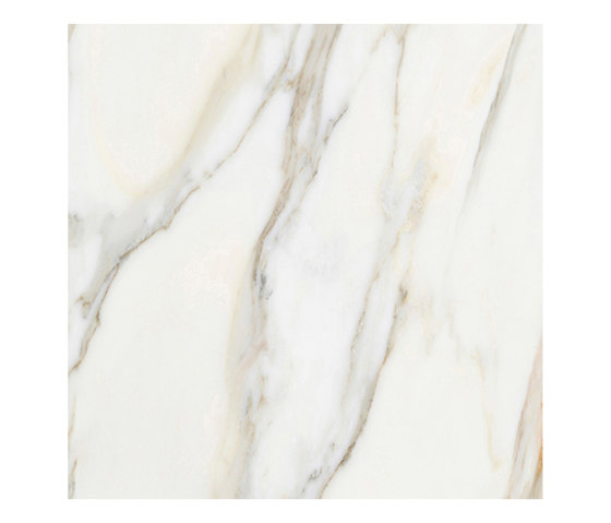 Borghini White | Piastrelle ceramica | Apavisa