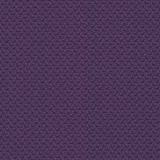 Alba | 010 | 5004 | 05 | Upholstery fabrics | Fidivi