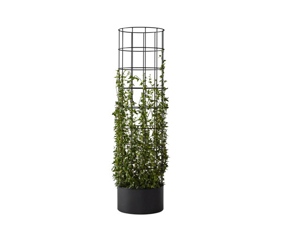 dB Pillar Flower Trellis | Vasi piante | Abstracta