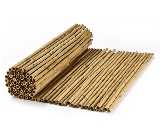 Bamboos | Natural bamboo 16-22mm "white quality" | Roofing systems | Caneplex Design